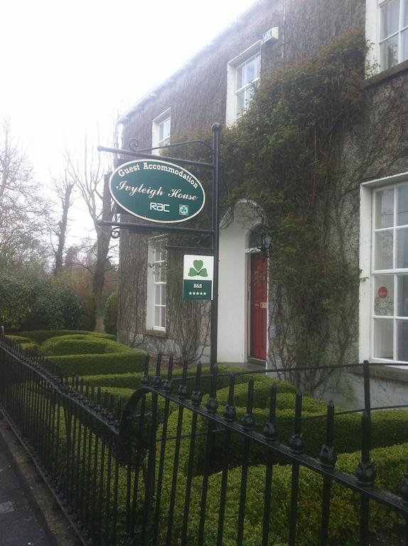 Ivyleigh House Bed and Breakfast Port Laoise Εξωτερικό φωτογραφία